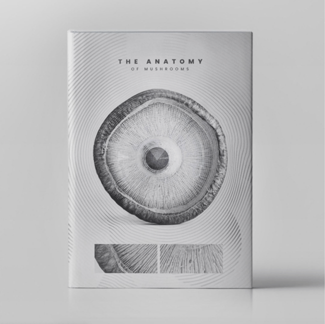 book-cover-jordi-espinosa