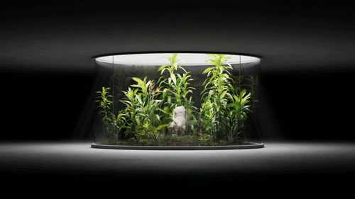 RamirezFrancisco_diorama_web